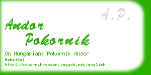 andor pokornik business card